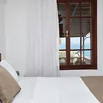 Kaktus Ada