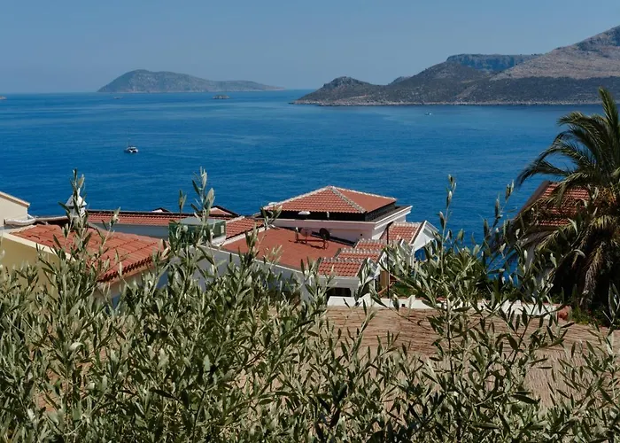 Apartment Kaktus Ada *