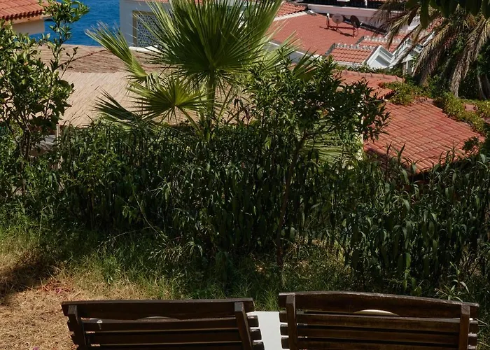 Kaktus Ada Apartment *