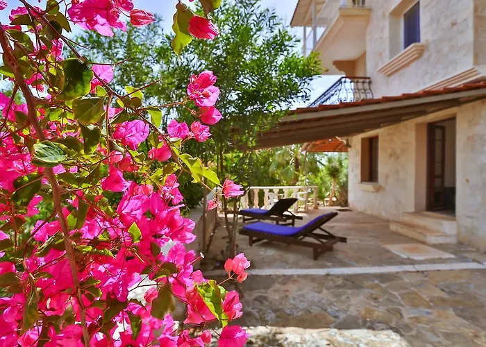 Apartment Kaktus Ada *