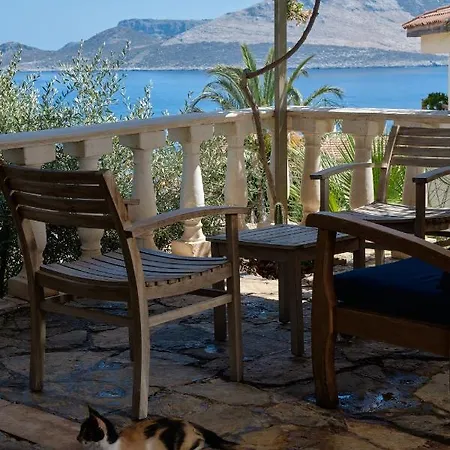 Kaktus Ada Kaş