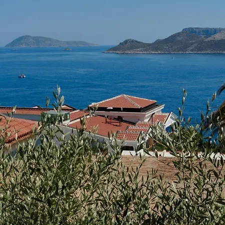 Lejlighed Kaktus Ada *