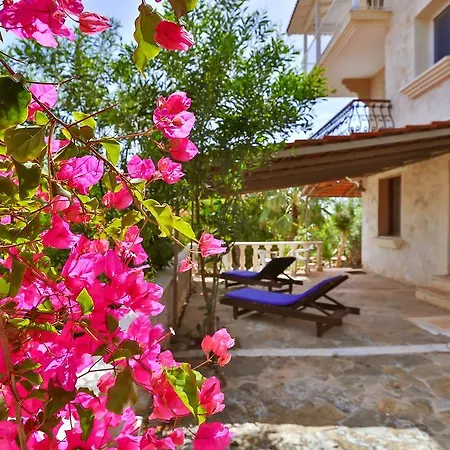 Lejlighed Kaktus Ada *