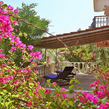 Lejlighed Kaktus Ada *